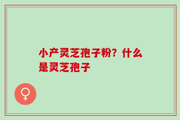 小产灵芝孢子粉?什么是灵芝孢子 小产灵芝孢子粉?什么是灵芝孢子