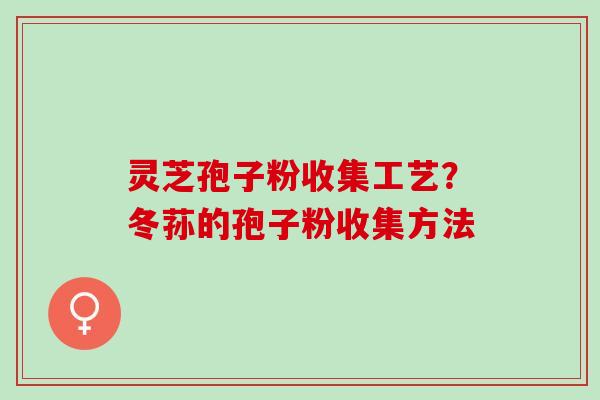 灵芝孢子粉收集工艺？冬荪的孢子粉收集方法