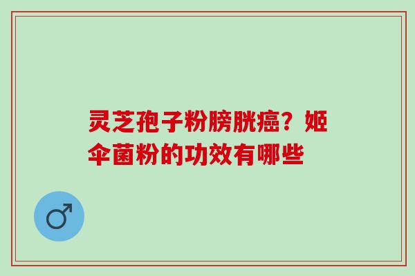 灵芝孢子粉膀胱？姬伞菌粉的功效有哪些