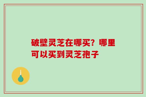 破壁灵芝在哪买？哪里可以买到灵芝孢子