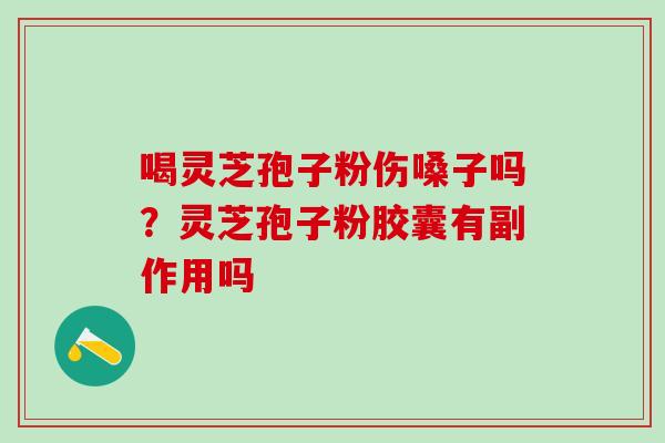 喝灵芝孢子粉伤嗓子吗？灵芝孢子粉胶囊有副作用吗