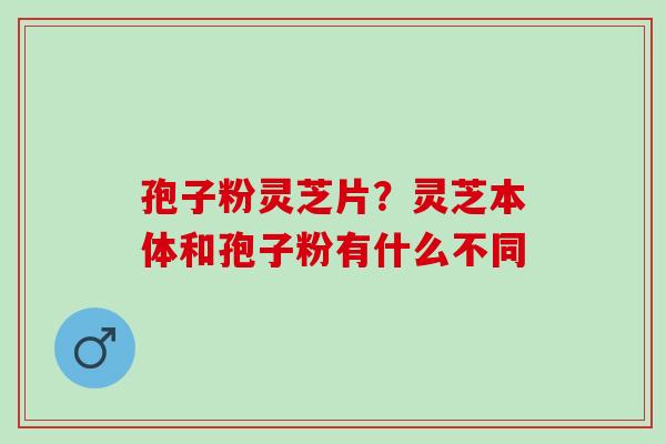 孢子粉灵芝片？灵芝本体和孢子粉有什么不同