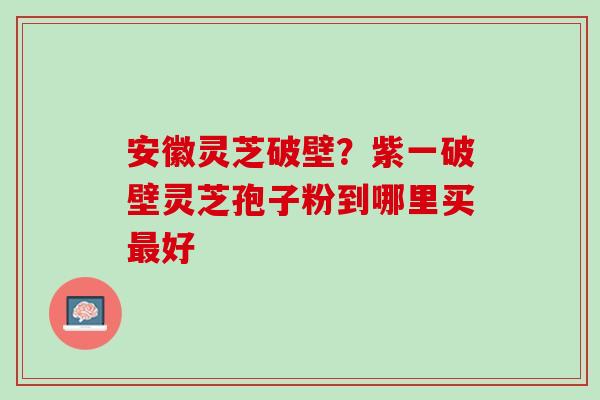 安徽灵芝破壁?紫一破壁灵芝孢子粉到哪里买好 安徽灵芝破壁?紫一破壁灵芝孢子粉到哪里买好