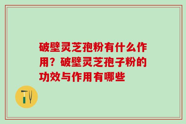 破壁灵芝孢粉有什么作用？破壁灵芝孢子粉的功效与作用有哪些