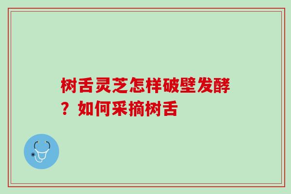 树舌灵芝怎样破壁发酵?如何采摘树舌 树舌灵芝怎样破壁发酵?如何采摘树舌
