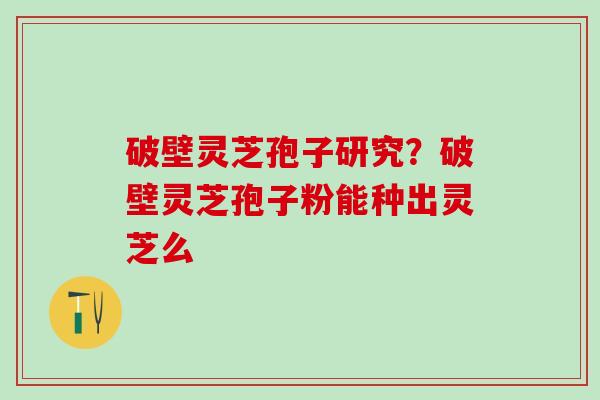 破壁灵芝孢子研究？破壁灵芝孢子粉能种出灵芝么