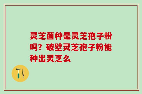 灵芝菌种是灵芝孢子粉吗？破壁灵芝孢子粉能种出灵芝么
