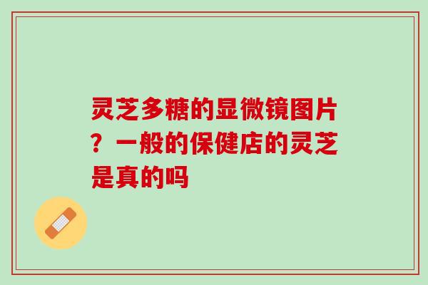 灵芝多糖的显微镜图片?一般的保健店的灵芝是真的吗 灵芝多糖的显微镜图片?一般的保健店的灵芝是真的吗