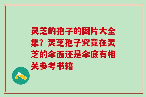 灵芝的孢子的图片大全集？灵芝孢子究竟在灵芝的伞面还是伞底有相关参考书籍