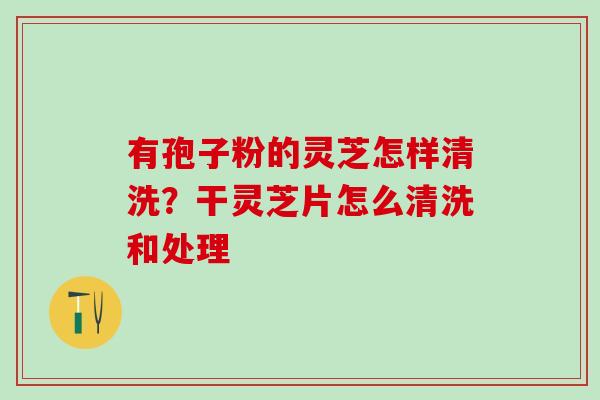 有孢子粉的灵芝怎样清洗？干灵芝片怎么清洗和处理