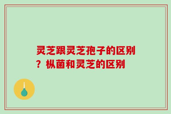灵芝跟灵芝孢子的区别？枞菌和灵芝的区别