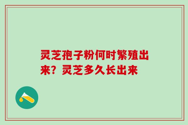 灵芝孢子粉何时繁殖出来？灵芝多久长出来
