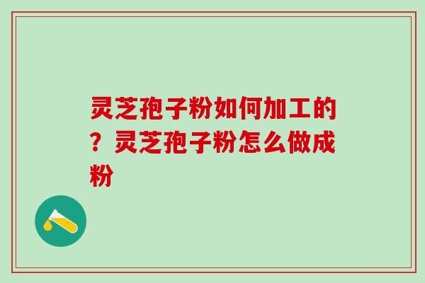 灵芝孢子粉如何加工的？灵芝孢子粉怎么做成粉