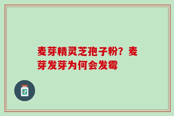 麦芽精灵芝孢子粉？麦芽发芽为何会发霉