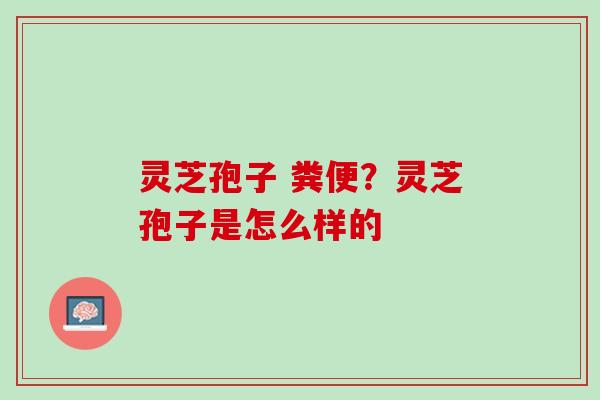 灵芝孢子 粪便？灵芝孢子是怎么样的