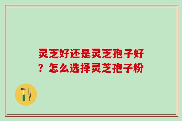 灵芝好还是灵芝孢子好？怎么选择灵芝孢子粉