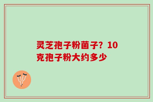 灵芝孢子粉菌子？10克孢子粉大约多少