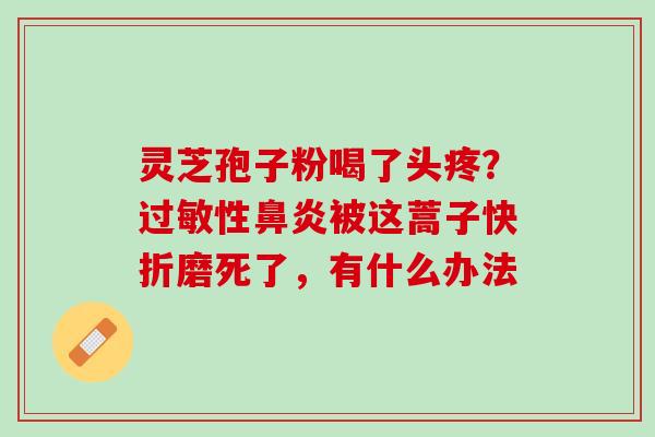 灵芝孢子粉喝了头疼？过敏性鼻炎被这蒿子快折磨死了，有什么办法