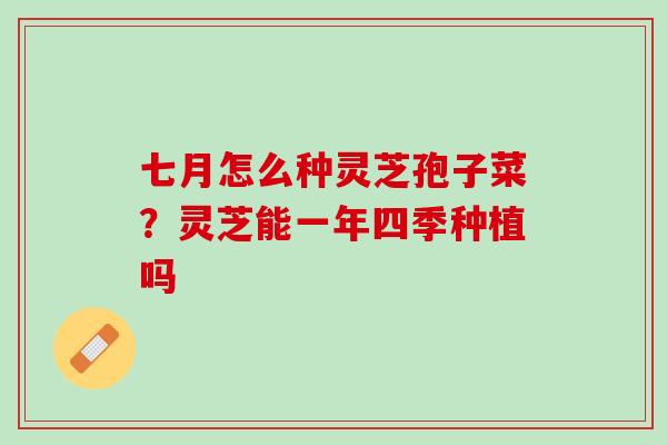 七月怎么种灵芝孢子菜？灵芝能一年四季种植吗