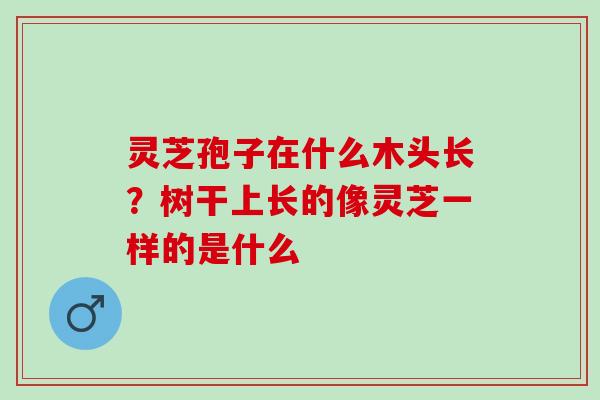 灵芝孢子在什么木头长？树干上长的像灵芝一样的是什么