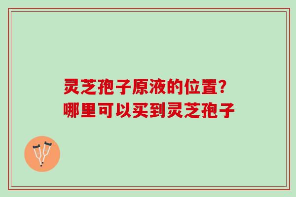 灵芝孢子原液的位置？哪里可以买到灵芝孢子