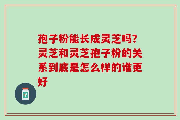 孢子粉能长成灵芝吗？灵芝和灵芝孢子粉的关系到底是怎么样的谁更好