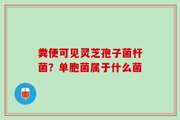 粪便可见灵芝孢子菌杆菌？单胞菌属于什么菌