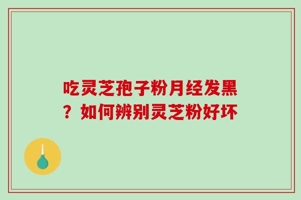 吃灵芝孢子粉月经发黑？如何辨别灵芝粉好坏