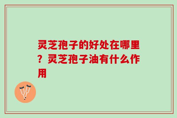 灵芝孢子的好处在哪里？灵芝孢子油有什么作用