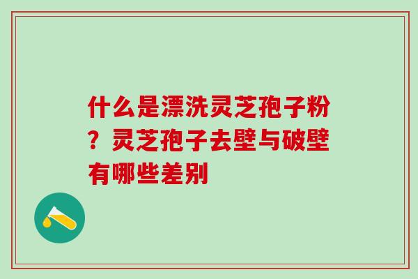 什么是漂洗灵芝孢子粉？灵芝孢子去壁与破壁有哪些差别