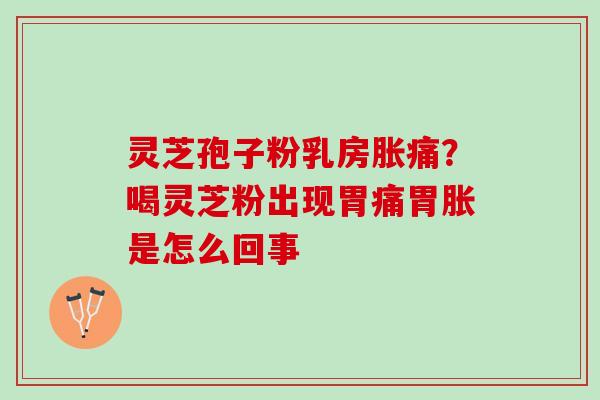 灵芝孢子粉乳房胀痛？喝灵芝粉出现胃痛胃胀是怎么回事