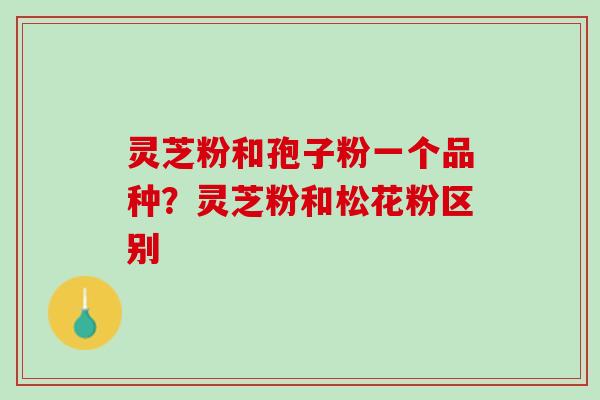 灵芝粉和孢子粉一个品种？灵芝粉和松花粉区别