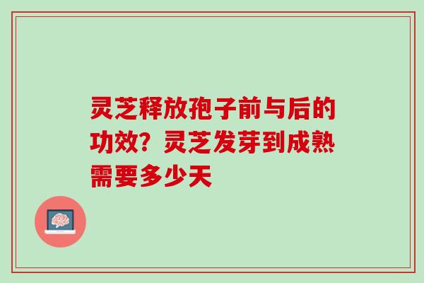 灵芝释放孢子前与后的功效？灵芝发芽到成熟需要多少天