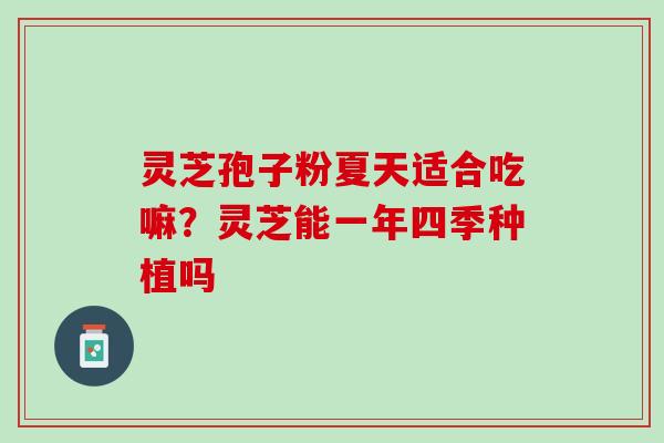 灵芝孢子粉夏天适合吃嘛？灵芝能一年四季种植吗