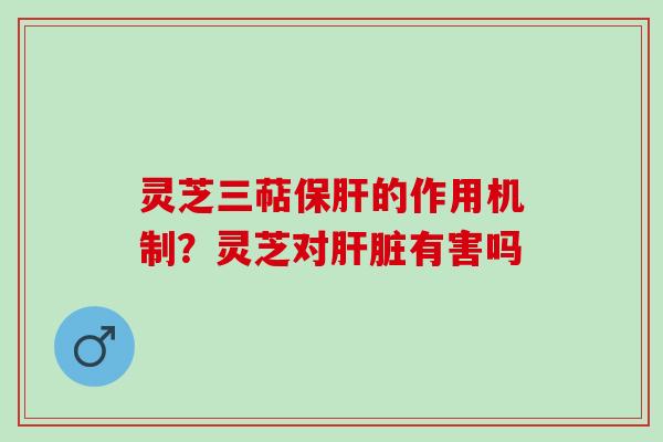 灵芝三萜保肝的作用机制？灵芝对肝脏有害吗