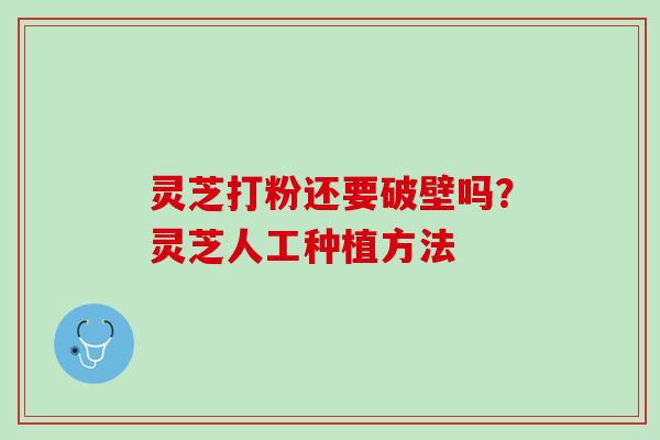 灵芝打粉还要破壁吗？灵芝人工种植方法
