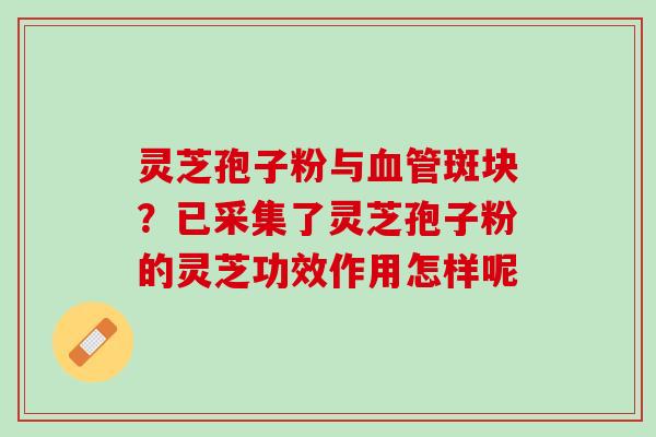 灵芝孢子粉与斑块?已采集了灵芝孢子粉的灵芝功效作用怎样呢 灵芝孢子粉与斑块?已采集了灵芝孢子粉的灵芝功效作用怎样呢