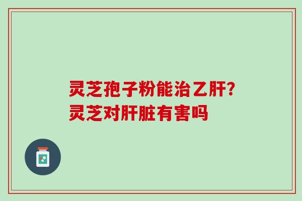 灵芝孢子粉能治乙肝？灵芝对肝脏有害吗