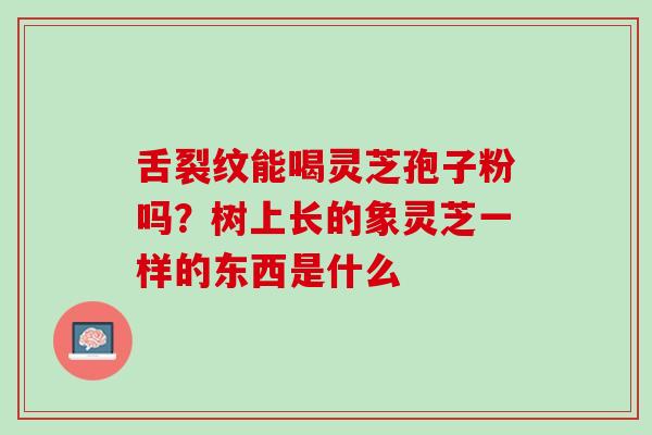 舌裂纹能喝灵芝孢子粉吗?树上长的象灵芝一样的东西是什么 舌裂纹能喝灵芝孢子粉吗?树上长的象灵芝一样的东西是什么