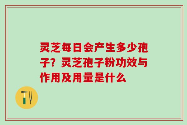 灵芝每日会产生多少孢子？灵芝孢子粉功效与作用及用量是什么