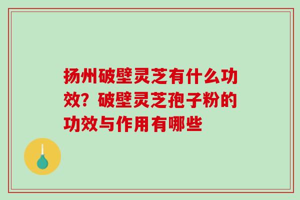 扬州破壁灵芝有什么功效？破壁灵芝孢子粉的功效与作用有哪些