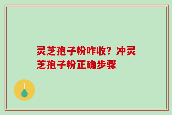 灵芝孢子粉咋收?冲灵芝孢子粉正确步骤 灵芝孢子粉咋收?冲灵芝孢子粉正确步骤