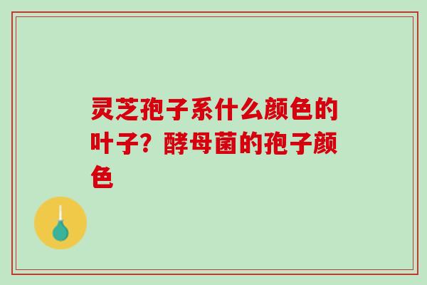灵芝孢子系什么颜色的叶子？酵母菌的孢子颜色