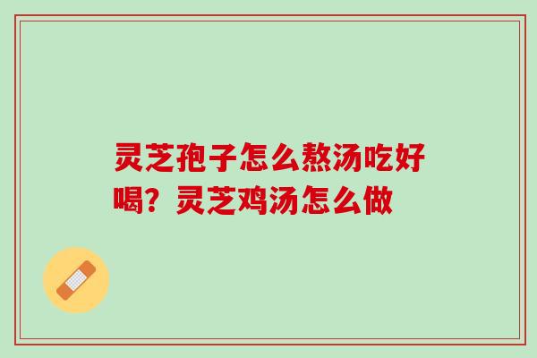 灵芝孢子怎么熬汤吃好喝？灵芝鸡汤怎么做