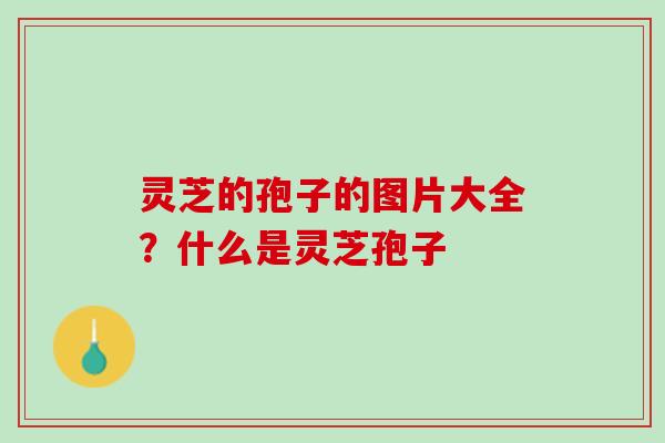 灵芝的孢子的图片大全？什么是灵芝孢子