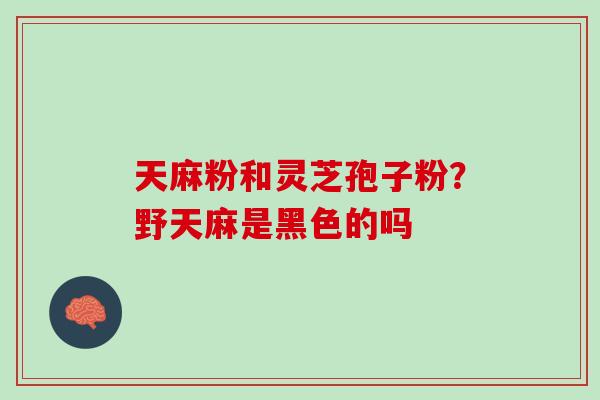 天麻粉和灵芝孢子粉？野天麻是黑色的吗