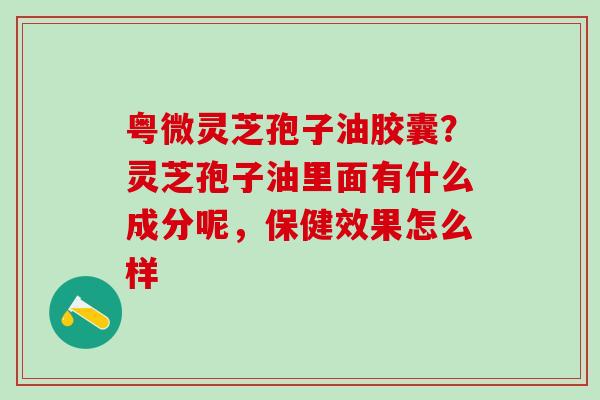 粤微灵芝孢子油胶囊？灵芝孢子油里面有什么成分呢，保健效果怎么样