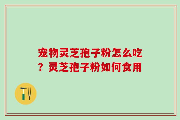 宠物灵芝孢子粉怎么吃？灵芝孢子粉如何食用