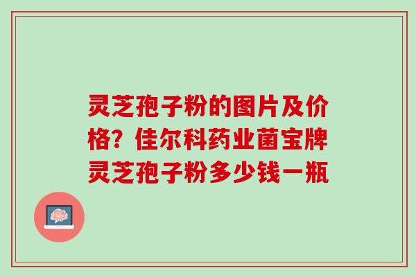 灵芝孢子粉的图片及价格？佳尔科药业菌宝牌灵芝孢子粉多少钱一瓶