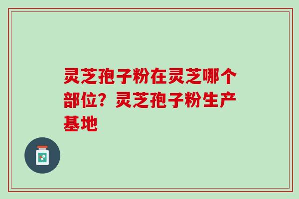 灵芝孢子粉在灵芝哪个部位？灵芝孢子粉生产基地